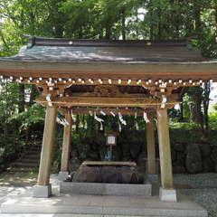 投稿日:2024年8月24日 写真