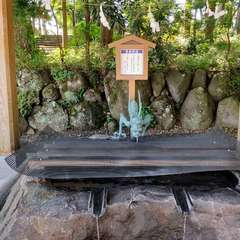 投稿日:2022年8月12日 写真