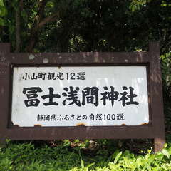 投稿日:2024年8月24日 写真
