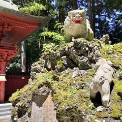 投稿日:2022年8月12日 写真