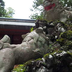 投稿日:2024年8月24日 写真