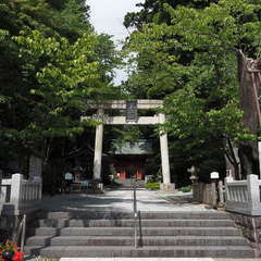 投稿日:2024年8月24日 写真