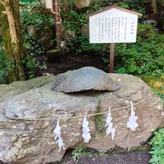 投稿日:2022年8月12日 写真