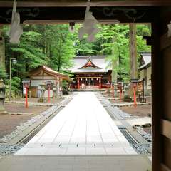 投稿日:2015年6月7日 写真