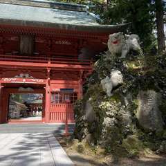 投稿日:2021年5月1日 写真