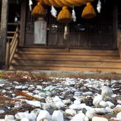 投稿日:2025年7月13日 写真