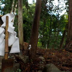 投稿日:2025年7月13日 写真