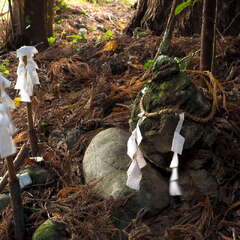 投稿日:2025年7月13日 写真