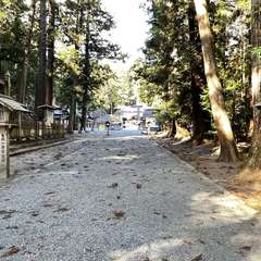 投稿日:2022年12月18日 写真