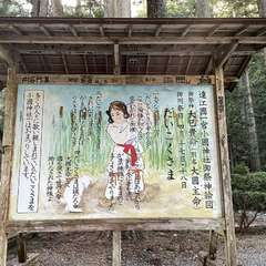 投稿日:2022年12月18日 写真