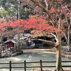 投稿日:2022年12月18日 写真