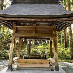 投稿日:2022年12月18日 写真