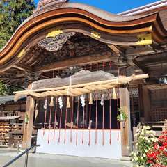 投稿日:2024年1月2日 写真