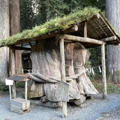 投稿日:2022年12月18日 写真