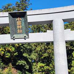 投稿日:2024年1月2日 写真