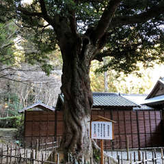 投稿日:2018年4月1日 写真