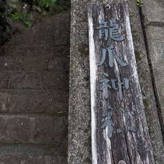 投稿日:2024年8月2日 写真