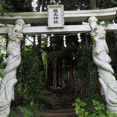 投稿日:2024年8月2日 写真