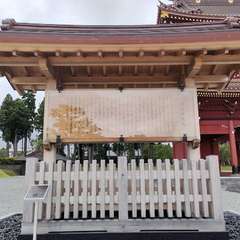 投稿日:2022年8月12日 写真