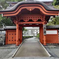 投稿日:2022年8月12日 写真