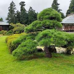 投稿日:2022年8月12日 写真