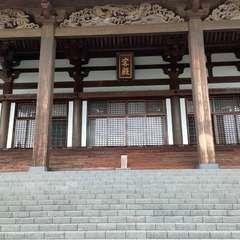 投稿日:2022年8月12日 写真