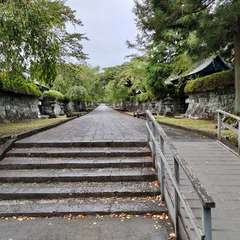 投稿日:2022年8月12日 写真