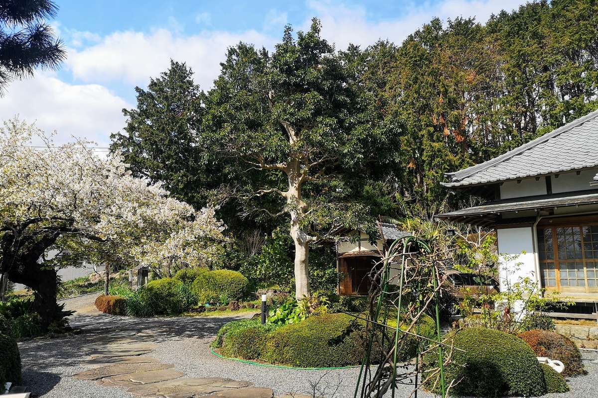 蓮行寺 静岡県賀茂郡。｜卍蓮行寺｜静岡県賀茂郡東伊豆町 八百万の神