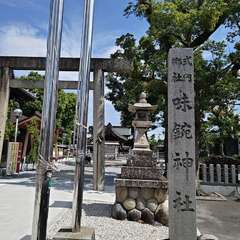 投稿日:2024年6月1日 写真