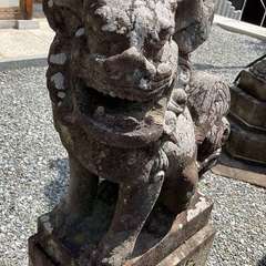 投稿日:2024年6月2日 写真