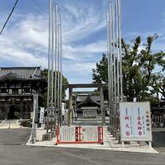 投稿日:2024年6月2日 写真