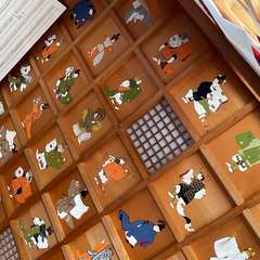 投稿日:2024年6月2日 写真