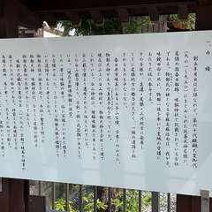 投稿日:2024年6月2日 写真