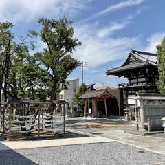 投稿日:2024年6月2日 写真