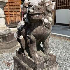 投稿日:2024年6月2日 写真