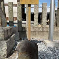 投稿日:2024年6月2日 写真