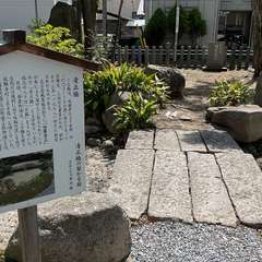 投稿日:2024年6月2日 写真