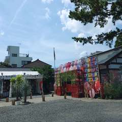 投稿日:2024年7月23日 写真