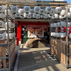 投稿日:2025年1月25日 写真