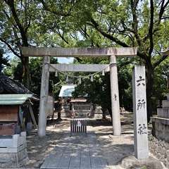 投稿日:2024年7月7日 写真