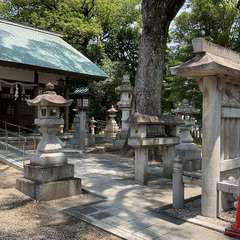 投稿日:2024年7月7日 写真