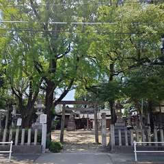 投稿日:2024年7月7日 写真