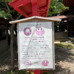 投稿日:2024年7月7日 写真