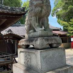 投稿日:2024年7月7日 写真