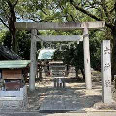 投稿日:2024年7月7日 写真