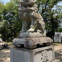 投稿日:2024年7月7日 写真