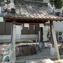 投稿日:2024年7月7日 写真