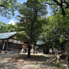 投稿日:2024年7月7日 写真