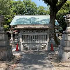 投稿日:2024年7月7日 写真