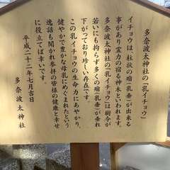 投稿日:2023年2月3日 写真